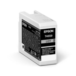 Epson UltraChrome Pro10 Light Grey Ink - T46S9