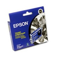 Epson T0491 Black Ink Cartridge